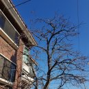 미군부대(K-55) 정문 옆 이미지