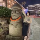 다인가든 이미지