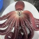 해신수산 이미지