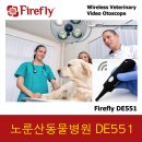 노룬산동물병원 이미지