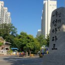 친절한성심정문약국 이미지