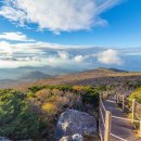 일지매 여행사 이미지