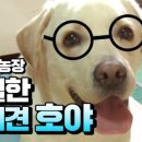 호야2농장 이미지