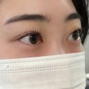 로데오타운 | 탄방동 속눈썹 로데오타운 플레이뷰티 노글루 속눈썹펌 후기