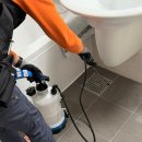 하빈로 | 대구 구미 방역업체 아파트 입주 소독 바퀴벌레 퇴치