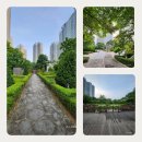 위시티연세치과의원 이미지