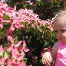 동양농장 이미지