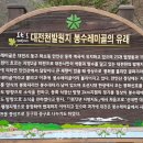 하천(대전천2) 이미지