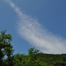 접시꽃민박 이미지