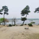 폴콘 리버가든팔당 이미지