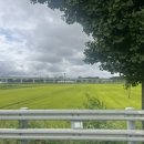 성산여주쌀밥 이미지