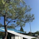 별똥별펜션 이미지