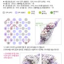 보물하우스 이미지