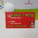 프리티도그 이미지