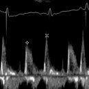 24시 성심동물메디컬센터 이미지
