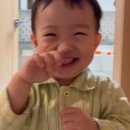 태하 카카오 검색결과