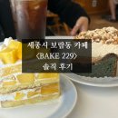 229 | 세종시 보람동 케이크맛집&lt;Bake229&gt; 솔직 후기