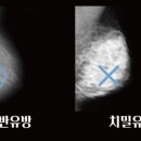 오케타니몰