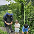 봉오초병설유치원 이미지