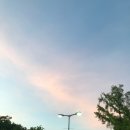 강촌마을자판기 | [공지] 추억 만땅 행복 만땅 5월 ( 2024 이대 축제, 몽중식 상견니 디너 후기 )