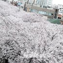 삼도1동 행정복지센터 이미지