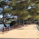 의림지-07 이미지