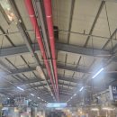 대명항 1로 | 김포 대명항수산물직판장방문 대하랑알이찬 꽃게 먹은후기 내돈내산