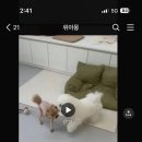 시루멍