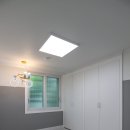 달맞이유림노르웨이숲 이미지