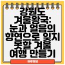 얼음왕국 | 강원도 겨울왕국: 눈과 얼음의 향연으로 잊지 못할 겨울 여행 만들기