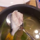 마라도복어 이미지