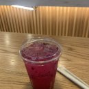 라벤데리아 이미지