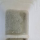 크리닝아트 이미지