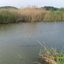 시화호수로 이미지