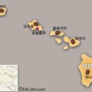 커피하와이