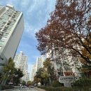 CU분당상록마을점 | 성남시 분당구 상록임광보성아파트 인테리어 입주민 동의서 및 행위허가