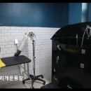 용인시종합운동장 | 용인 반려견 수영장 노리개운동장 넓은 공간과 친절한 서비스