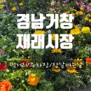 거창시장 | 거창 장날 재래시장 먹거리 주차장 여는날 정보까지 시골감성가득