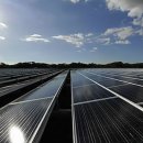 대교태양광발전소 이미지