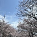 바이야 | [르네블루 바이 쏠비치] ★내돈내산★ 숙박 및 조식 후기