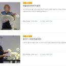 당진애견미용학원