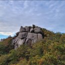 남해-229 이미지