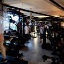 머슬데몬 이미지