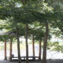 도로줌마을 이미지