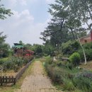 [천안/아산카페] 아산 예쁜정원 카페 나니아2560 방문후기