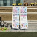 푸드마켓 | 2025 춘천 청년 로컬푸드마켓 후기ㅣ춘천시청 광장