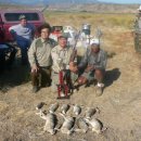 토끼사냥 이미지