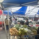 상남시장 | 상남동 낭만 / 상남 시장 장날 후기