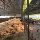 청해농장 이미지