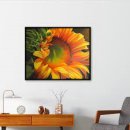 풍수지리 이미지